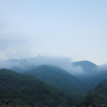 فيلا Rustic Liguria Ceriana المظهر الخارجي الصورة
