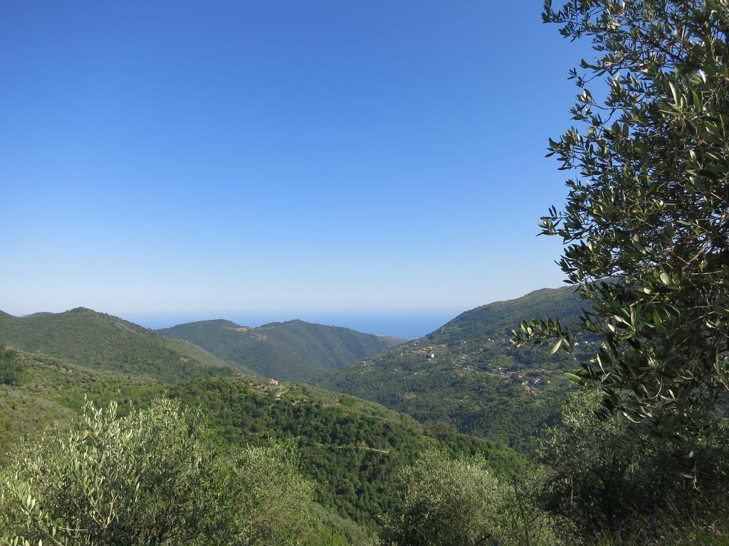 فيلا Rustic Liguria Ceriana المظهر الخارجي الصورة